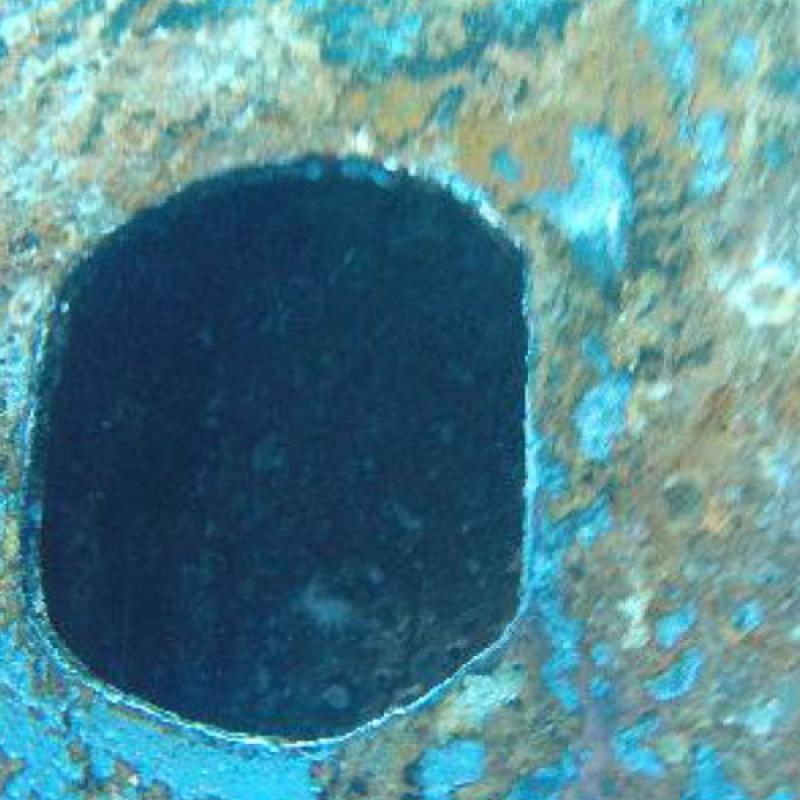 Photo Gallery 30